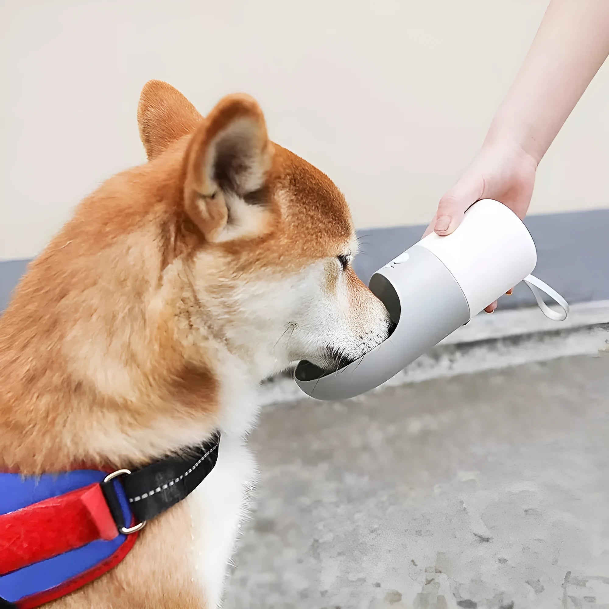 White MOESTAR rocket-shaped pet drinking cup with grey or orange accents showing one-button lock