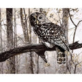 Owl digital painting DIY kit with canvas, acrylic paints, and brushes laid out.