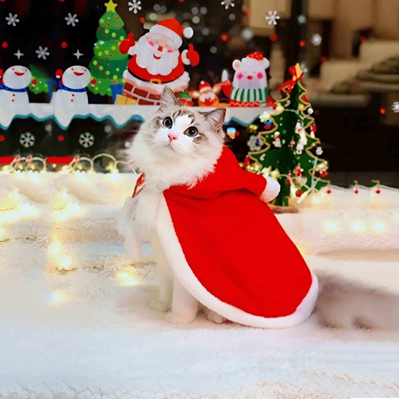 Red fabric Christmas cloak jacket for cat or dog in size M