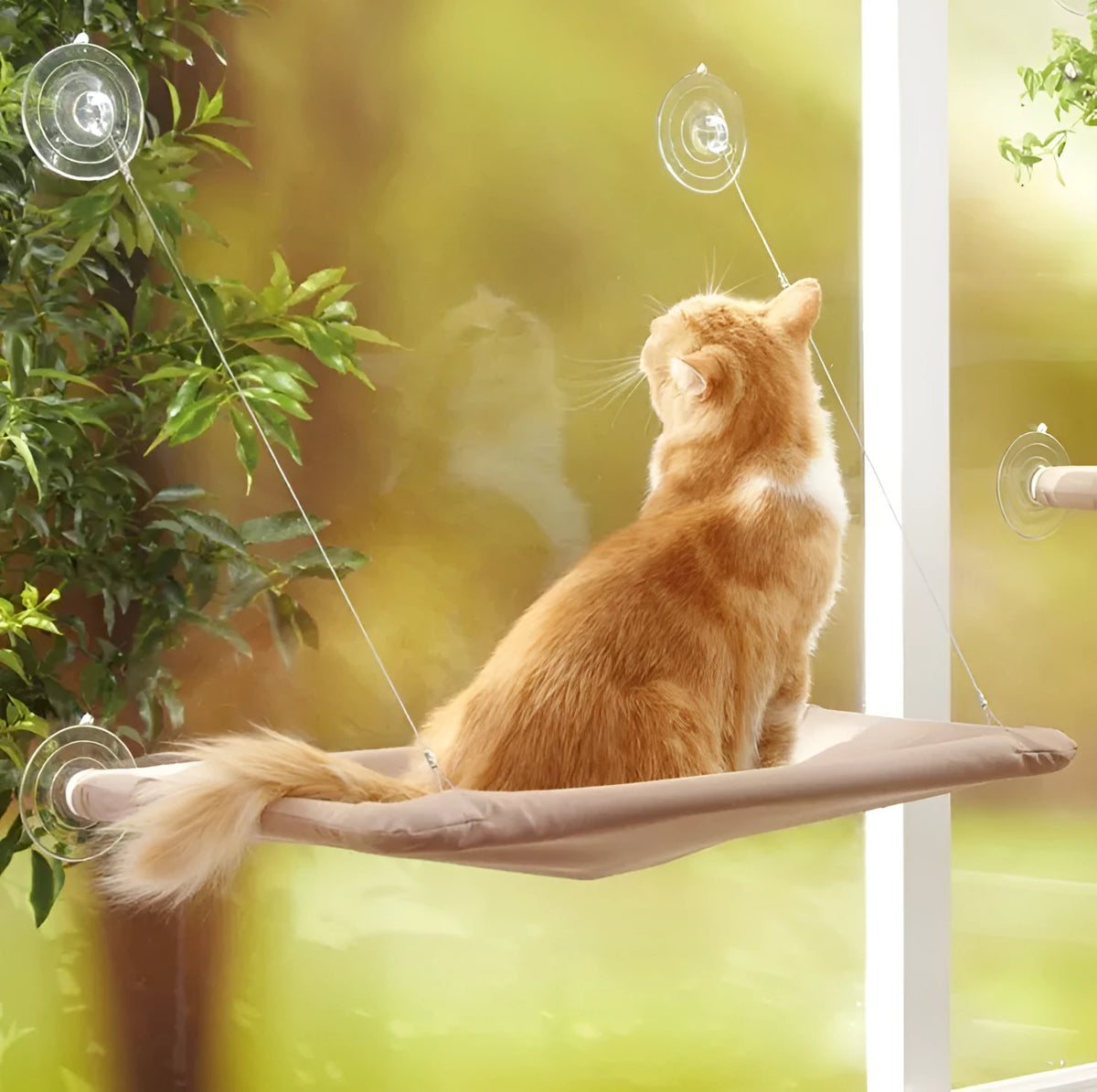 Cat window hammock bed 55x35cm with four sucker cups and removable washable cloth cover