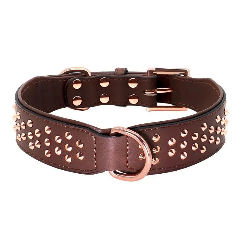 Leather dog collar with metal anti-bite rivets and a buckle, shown in black colour.