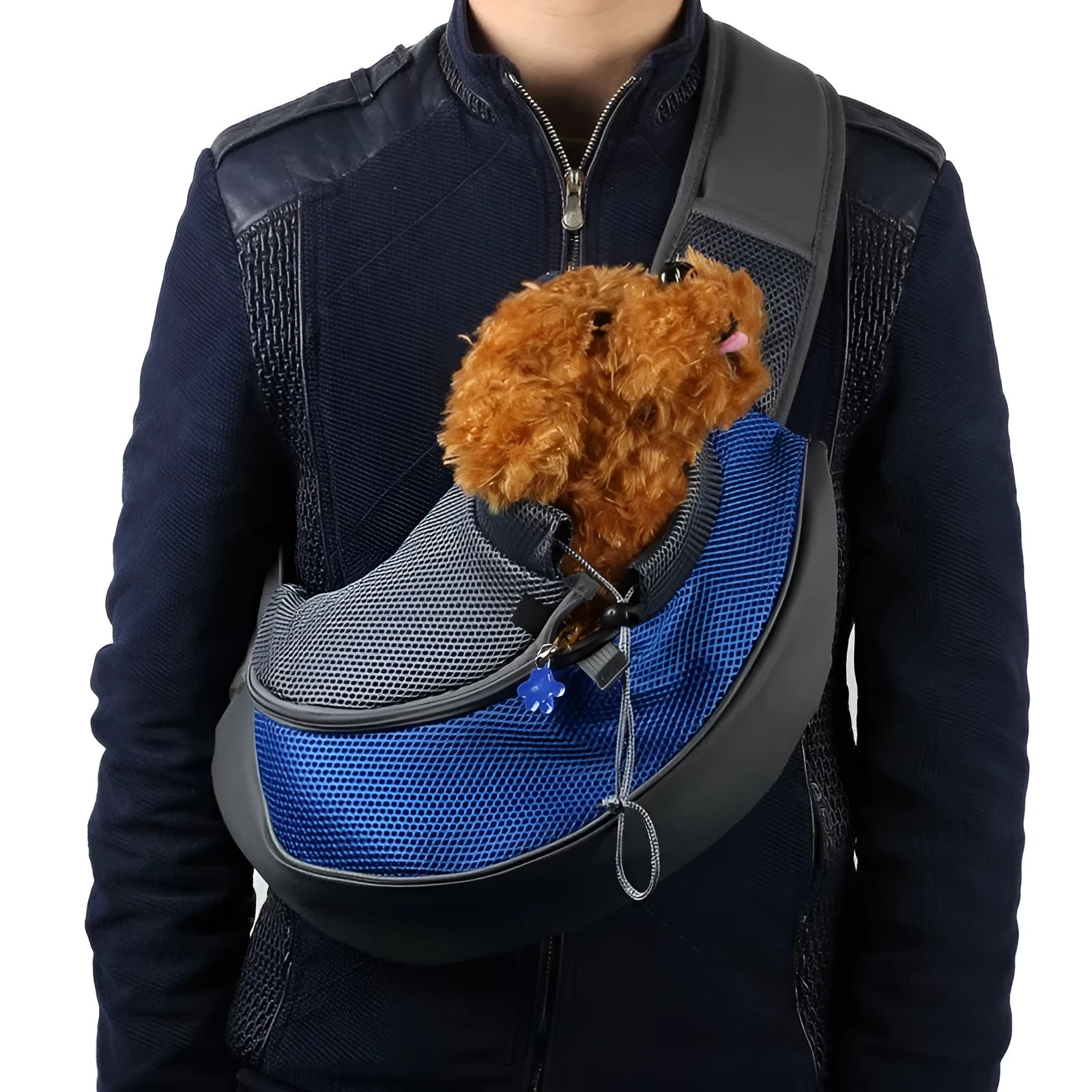 Blue polyester pet carrier backpack for small dogs, shown with adjustable straps and ventilation.