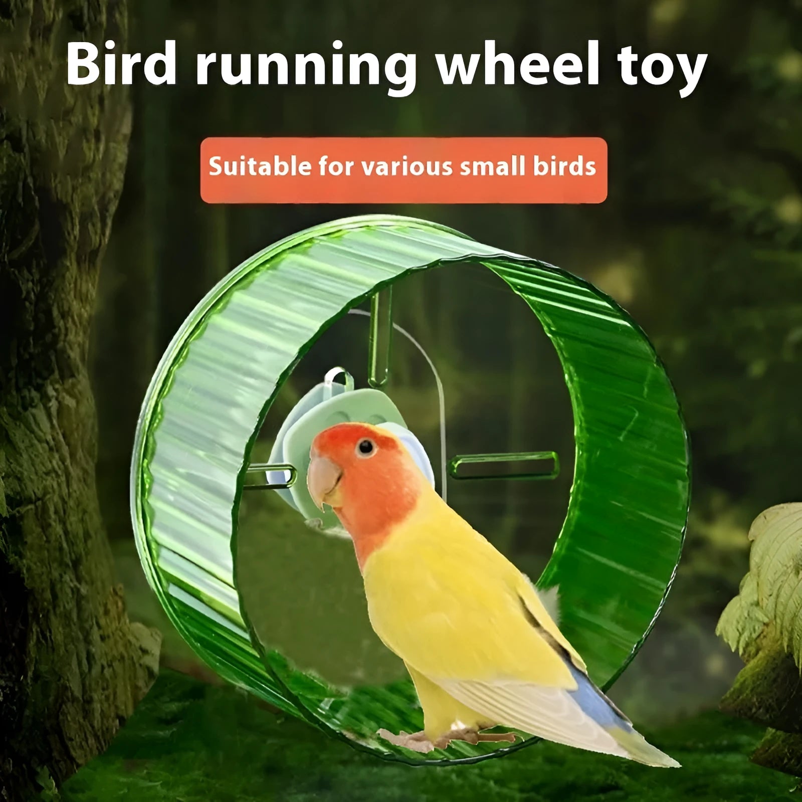 A transparent plastic parrot exercise running wheel toy for a bird cage.
