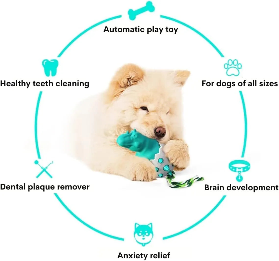 Blue durable rubber dog chew toy with integrated rope and textured surface for dental cleaning.