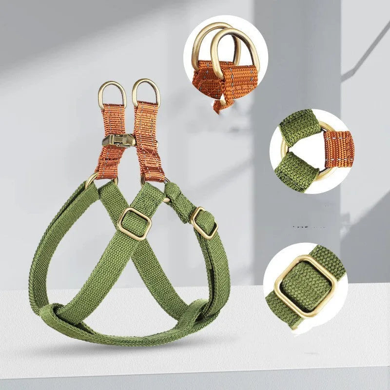 Brown vest style dog leash with nylon harness and cotton handle shown on medium sized dog