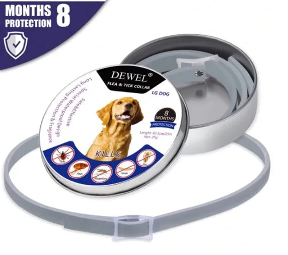 Adjustable grey flea and tick collar for dogs on a white background, 62cm size