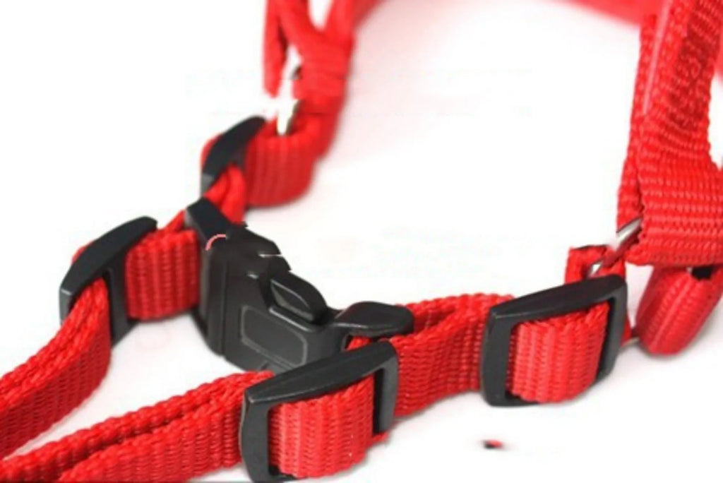 Blue nylon dog harness with foam lining and chest strap attachment point