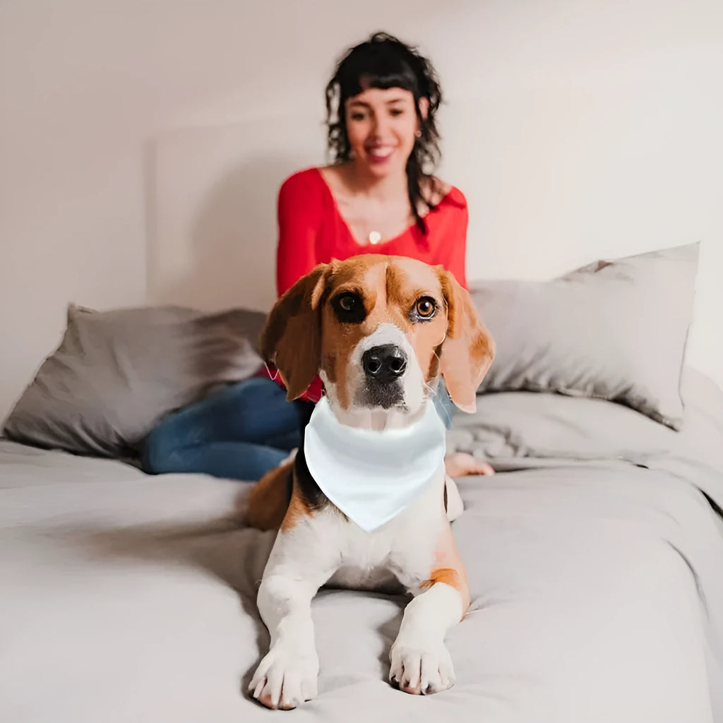 White blank polyester dog scarf for thermal transfer customisation, shown in four sizes.