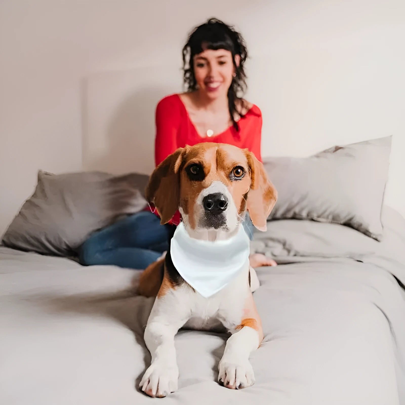 White blank polyester dog scarf for thermal transfer customisation, shown in four sizes.