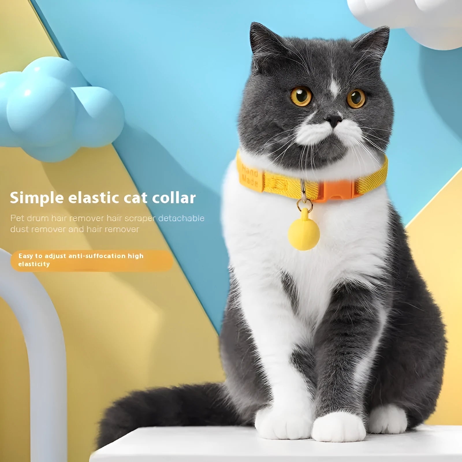 Small dog wearing a high elasticity polyester pet collar in a choice of seven solid colours.