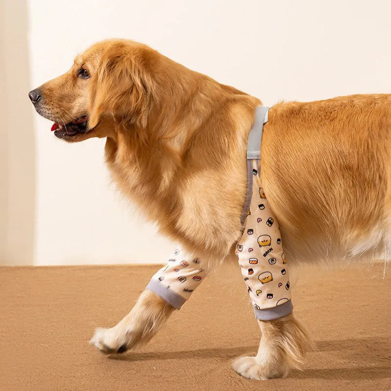 Blue dog knee protector sleeve with padded elbow patch and matching scarf, shown on a medium-sized dog