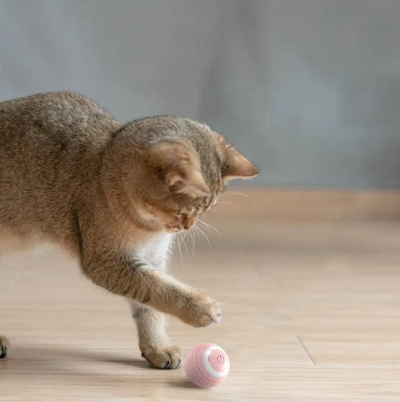 Automatic moving bouncing rolling ball cat toy in blue colour with charging cable