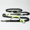 Adjustable polyester dog running belt with bungee lead in fluorescent green, shown attached to a waist.