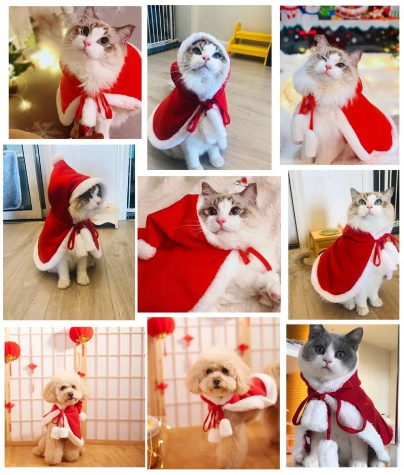 Red fabric Christmas cloak jacket for cat or dog in size M