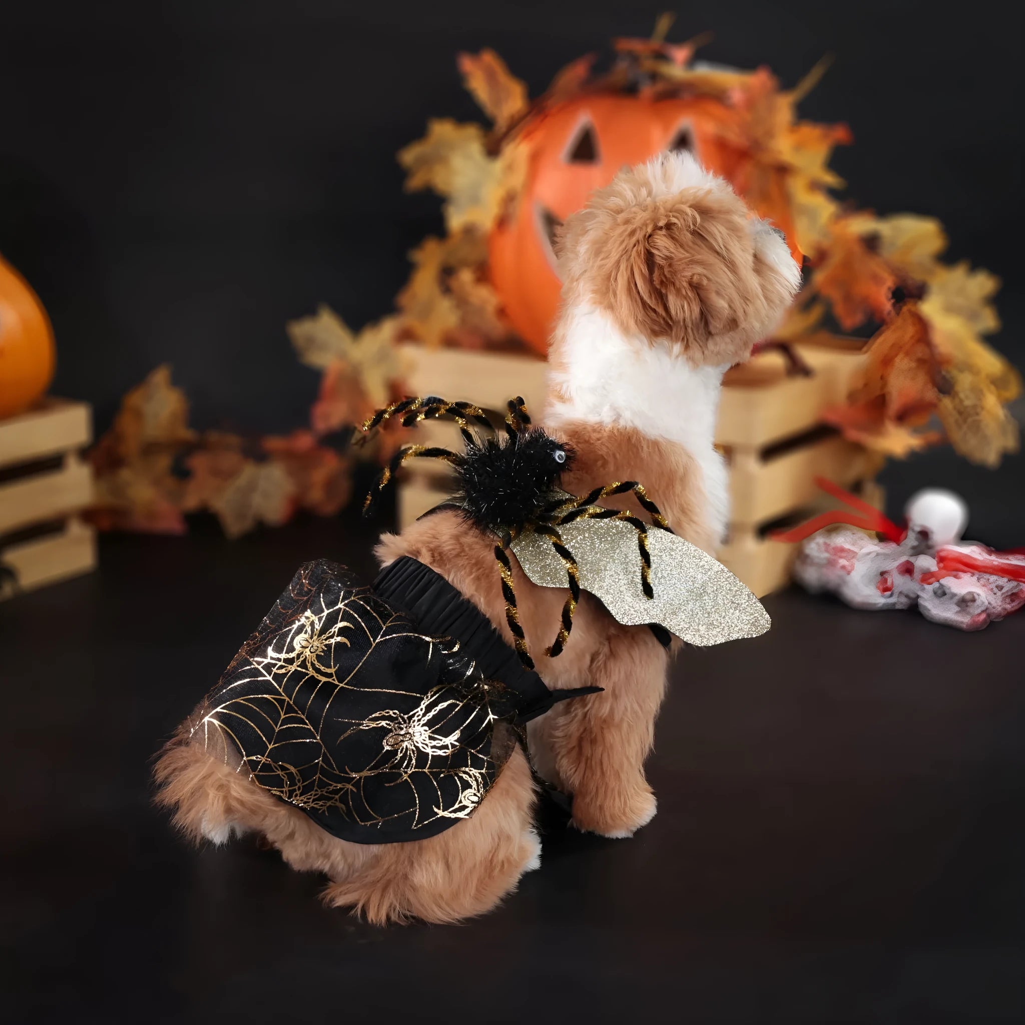 A dog wearing a full-body polyester suit costume for Halloween, available in sizes S, M, L, and XL.
