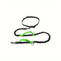 Hands-free dog leash with adjustable waist belt worn by person running with dog