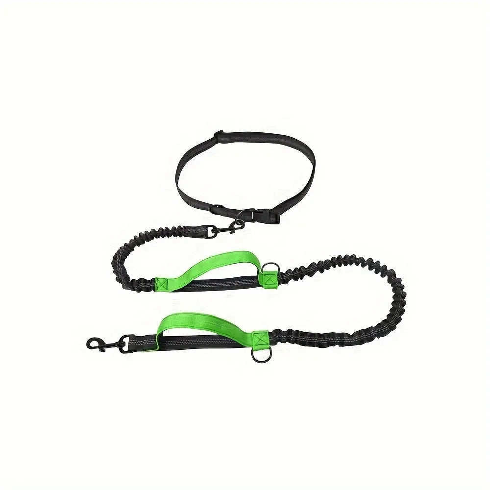 Hands-free dog leash with adjustable waist belt worn by person running with dog