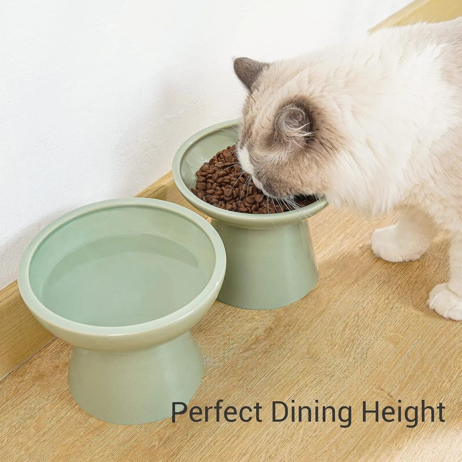 Ceramic elevated cat bowl in blue with wide shallow design for whisker fatigue relief