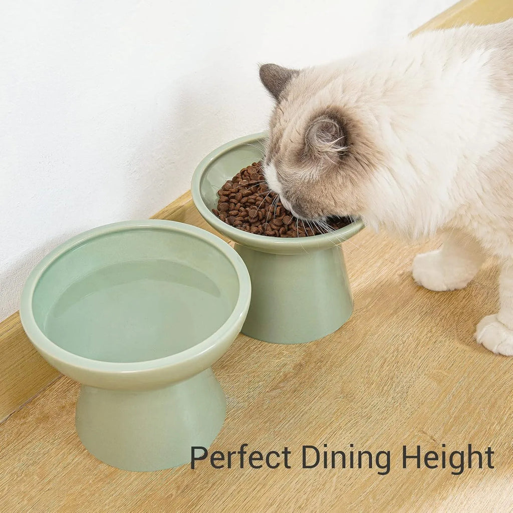 A wide, shallow ceramic cat bowl in an elevated stand, shown in blue, green, pink, or white.