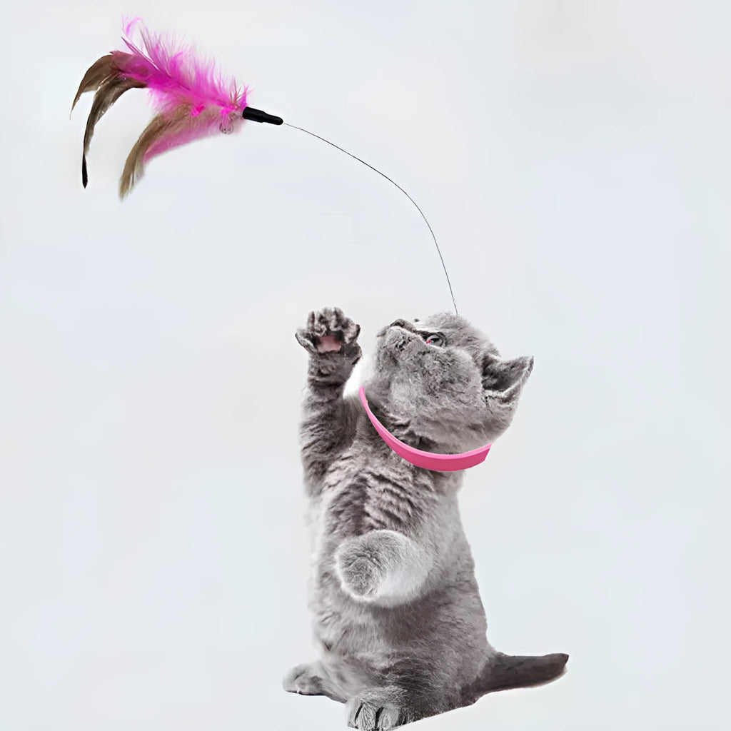 Silicone cat feather collar toy with adjustable teasing wand and bell attachment in blue and pink colours