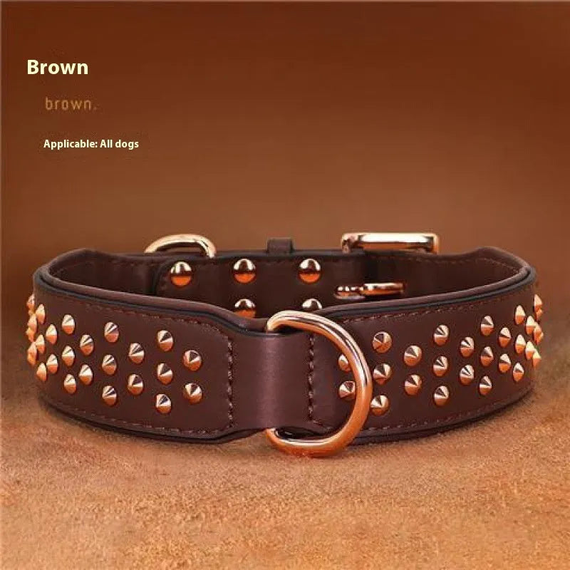 Leather dog collar with metal anti-bite rivets and a buckle, shown in black colour.