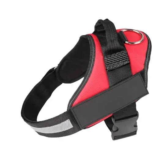 Adjustable dog harness with mesh padded vest on medium-sized dog