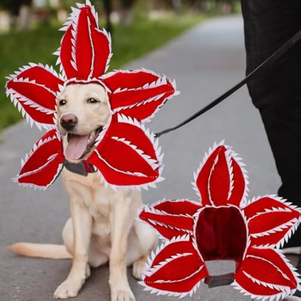 Chomper dog Halloween costume with scary demon teeth and purple flower headband on a medium-sized dog