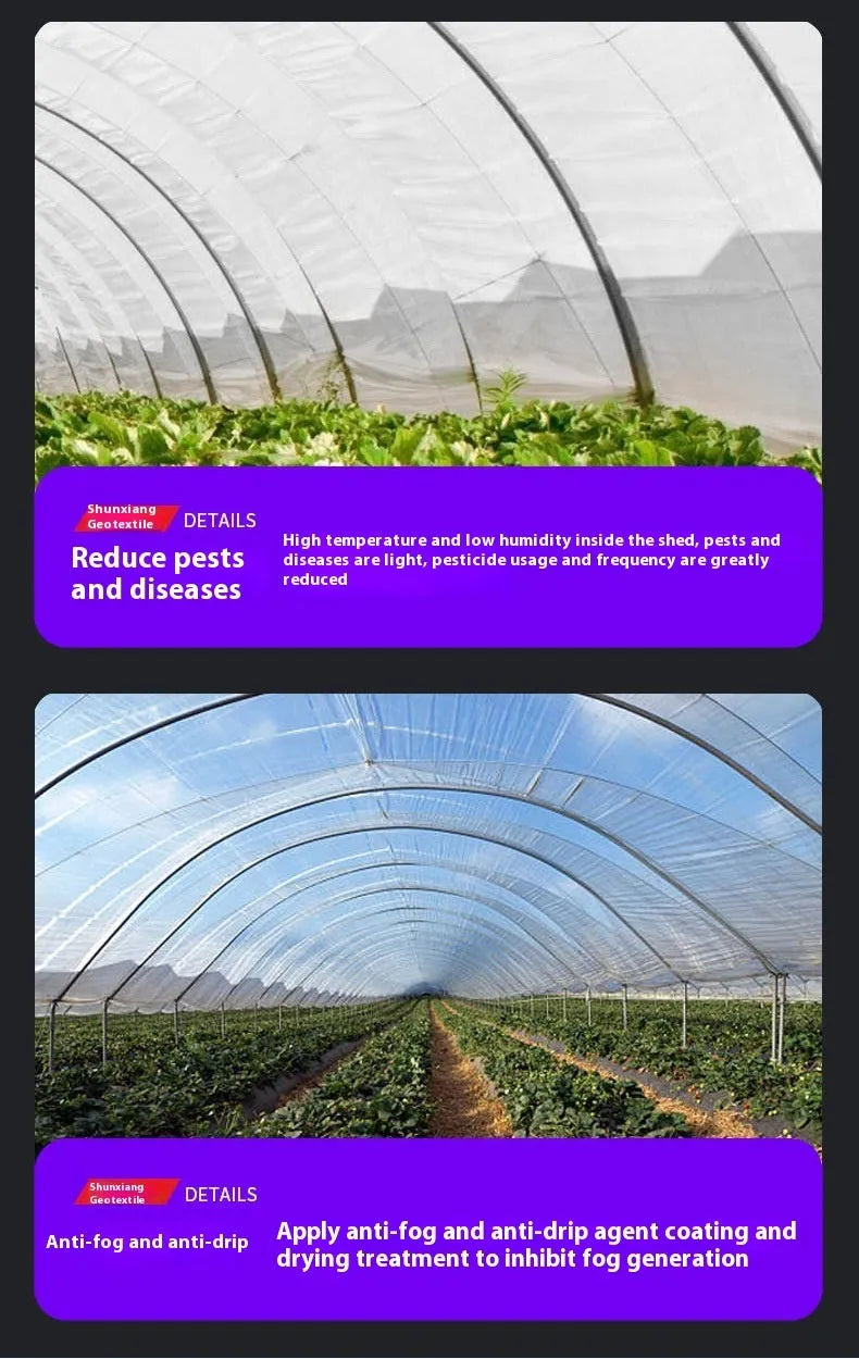 Roll of 4m x 8m plastic cold insulation film for greenhouse vegetable sheds.