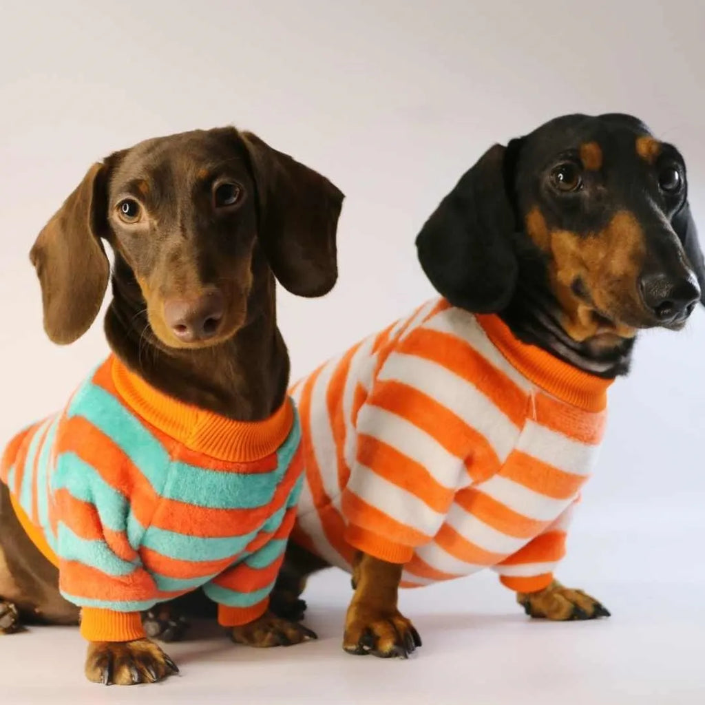 Striped casual pet sweatshirt with round neck in orange red and white colours