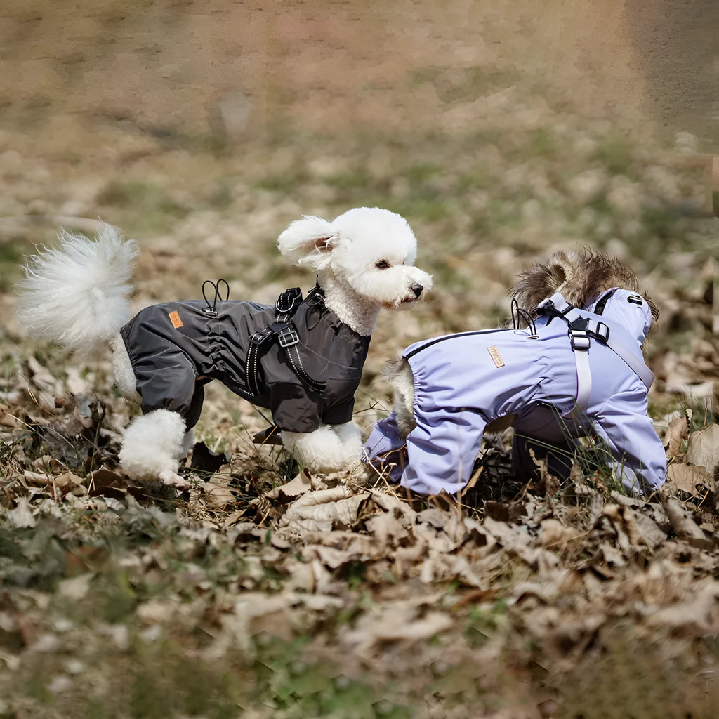 Fashion dog one-piece raincoat in waterproof polyester, available in multiple colours and sizes S to 3XL
