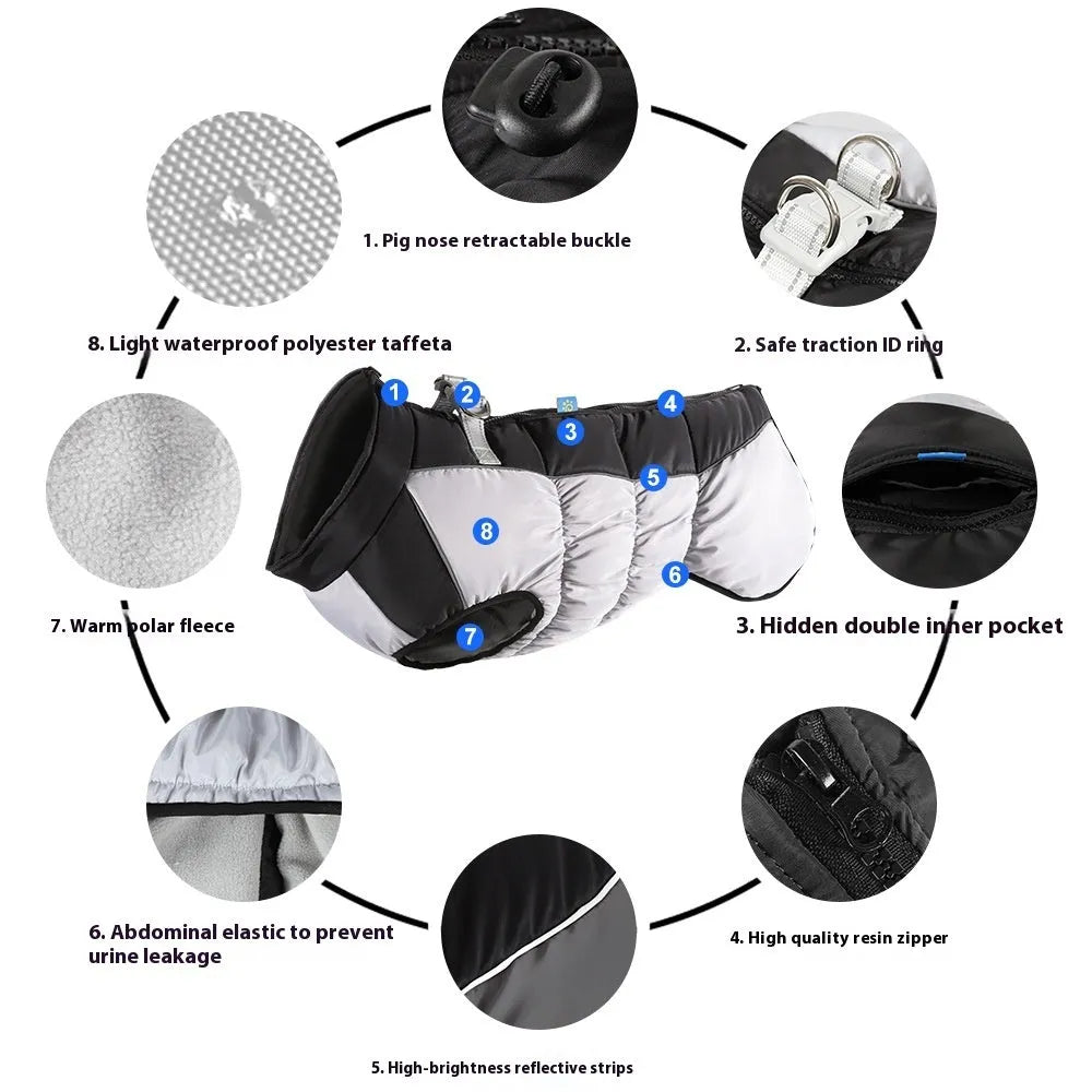 Large black dog wearing a blue reflective waterproof winter coat with polar fleece lining.