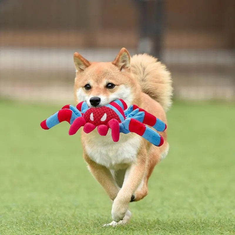 Red plush teddy dog toy with bite-resistant construction and squeaker for medium/large puppies