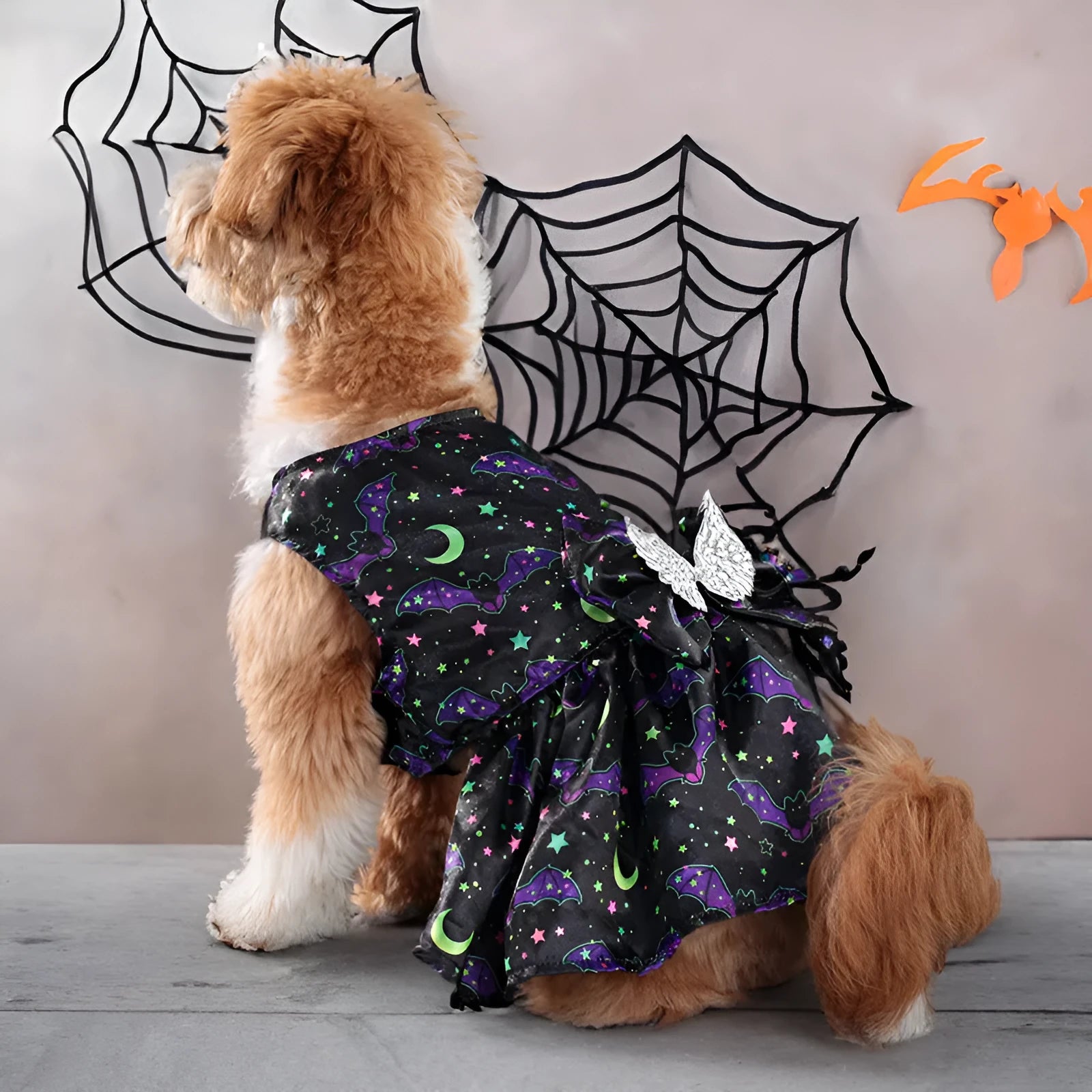 Dog wearing orange angel wings Halloween costume with bright pumpkin design.