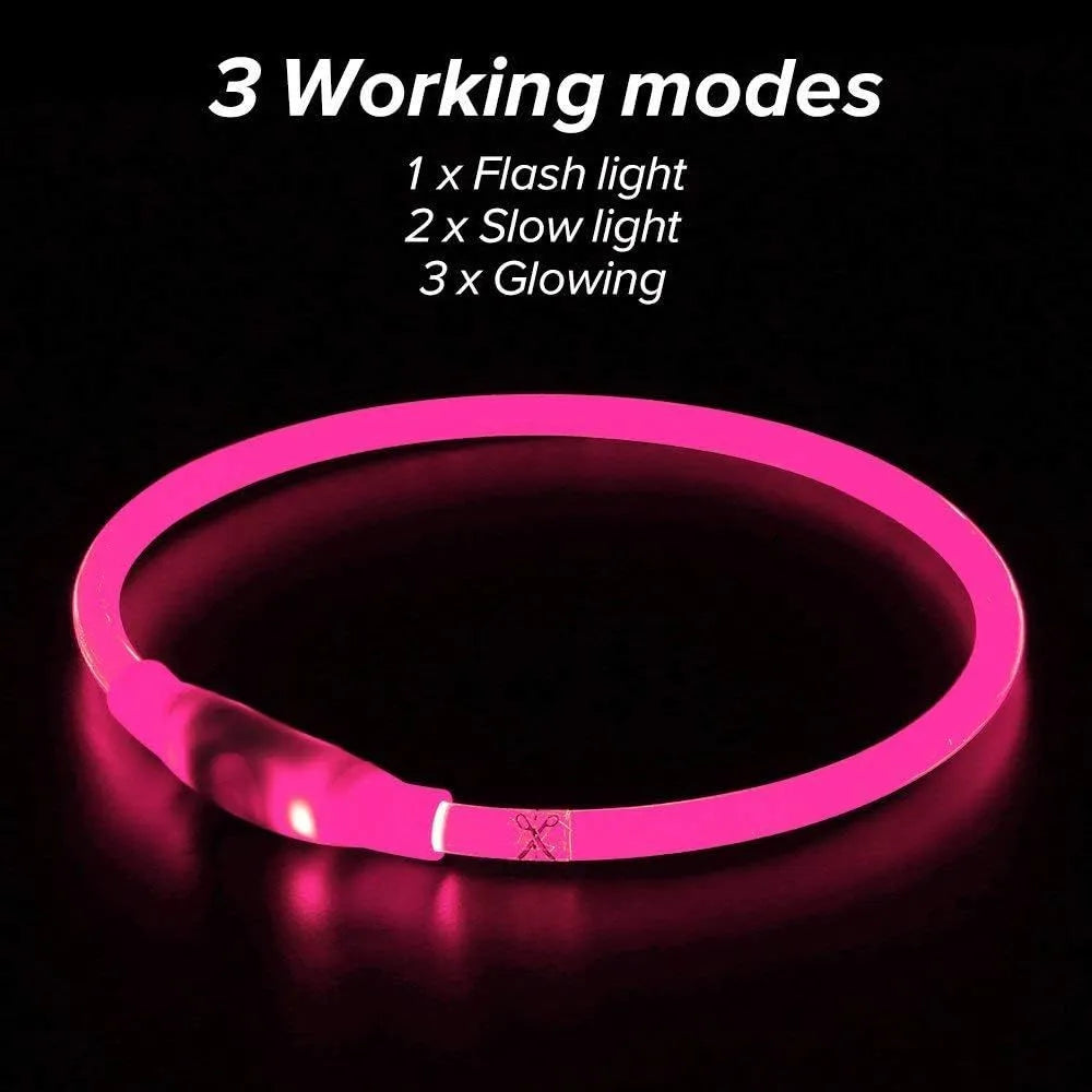 USB rechargeable LED dog collar showing blue glowing light on adjustable TPU collar