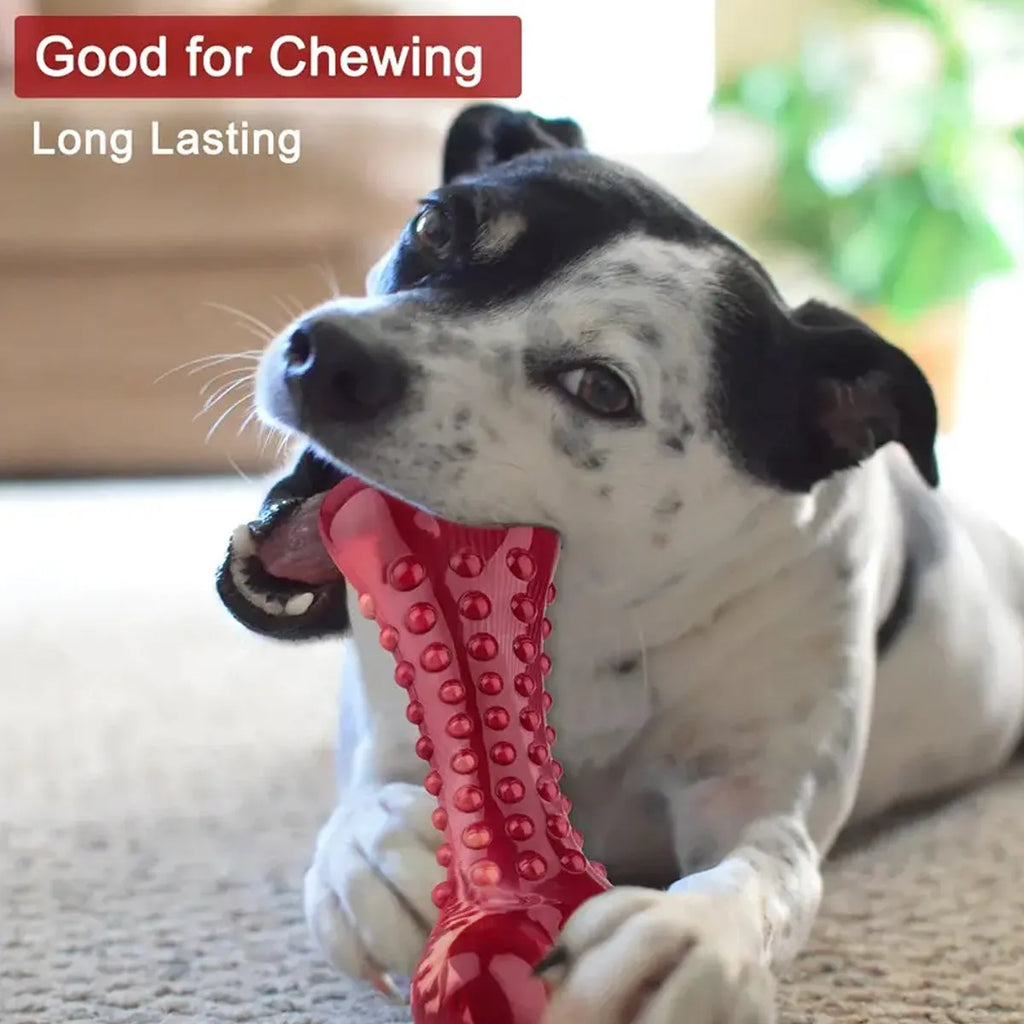 Red natural rubber chew toy for aggressive dogs and heavy chewers