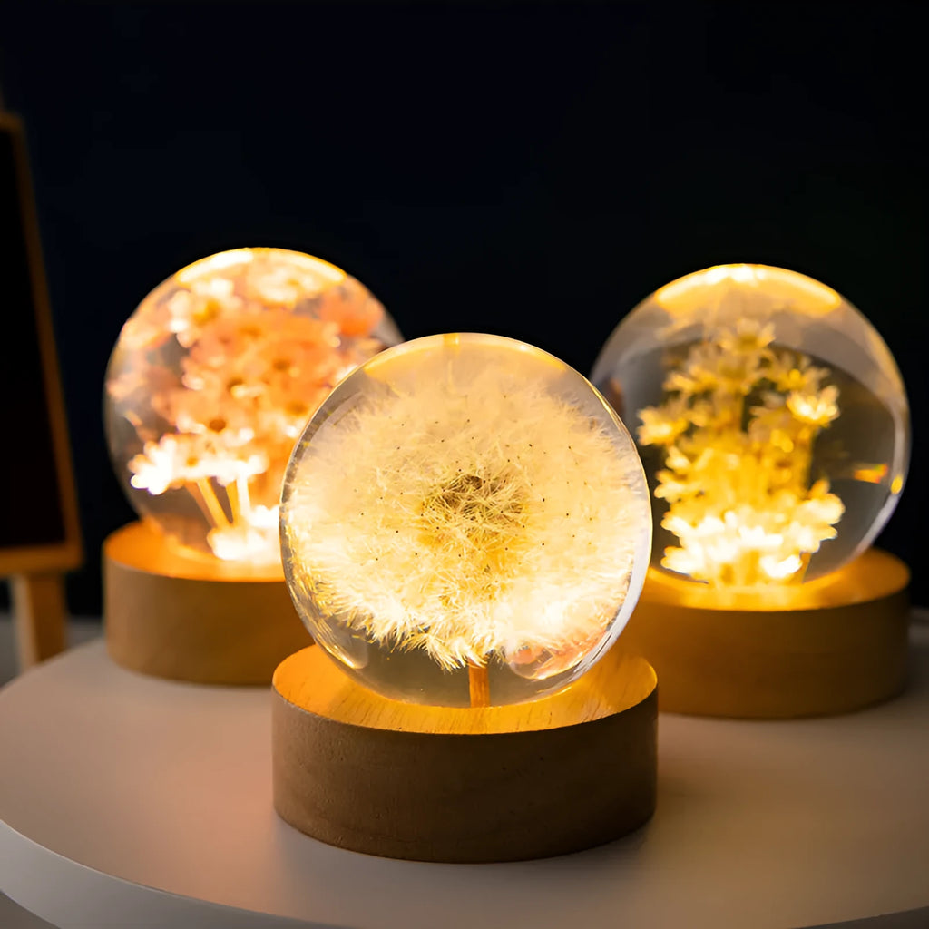 Preserved dandelion flower crystal ball night light with beech wood base