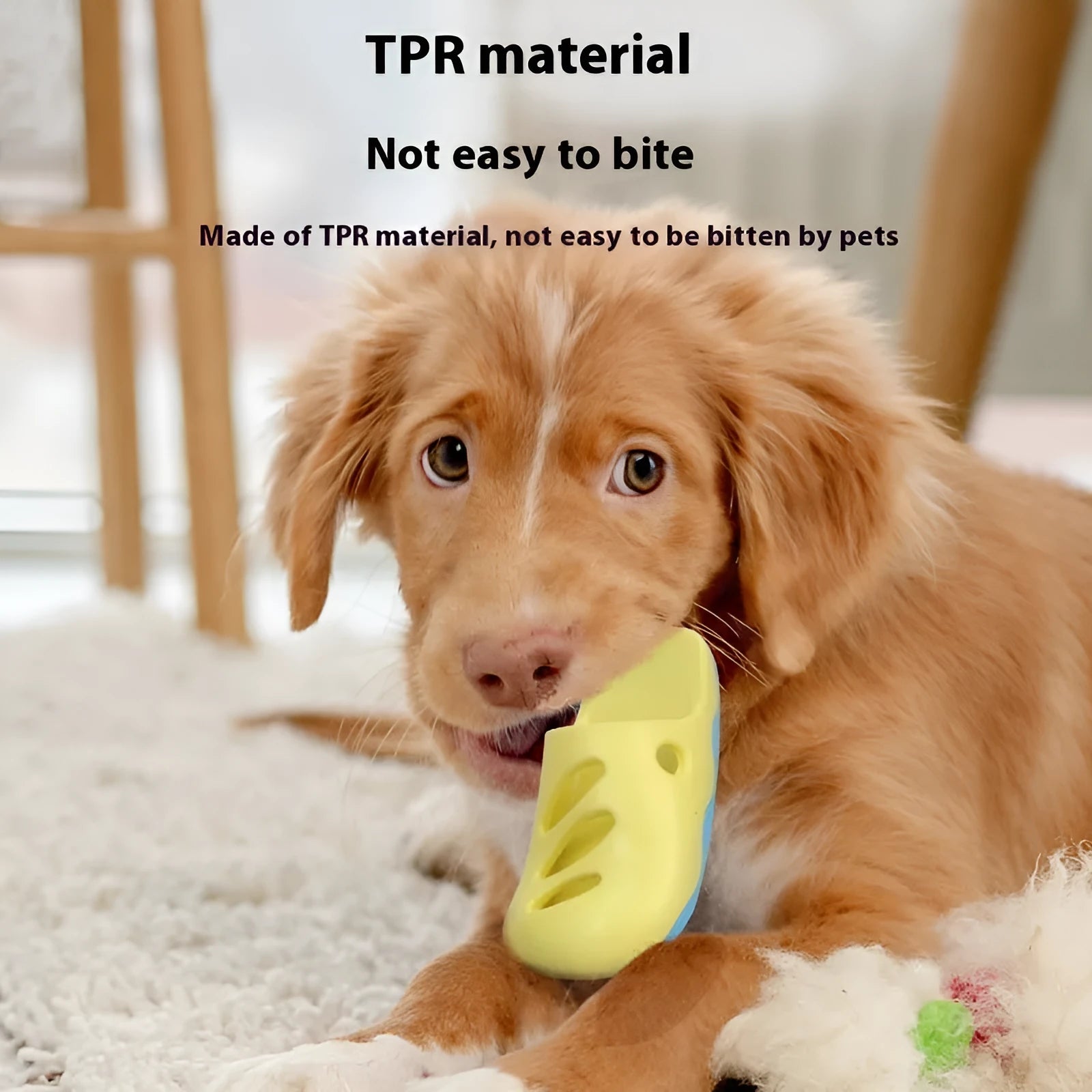 Blue and yellow TPR dog bath massage brushes showing quincuncial head, pointed toe, and horizontal pattern styles.