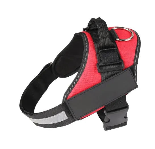 Adjustable dog harness with mesh padded vest on medium-sized dog