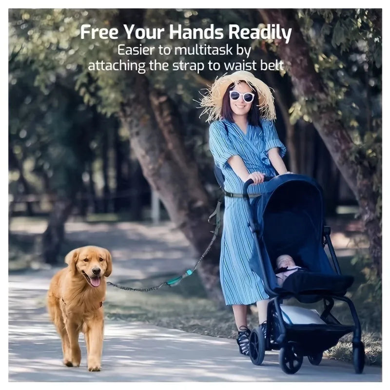 Hands-free dog leash with adjustable waist belt worn by person running with dog