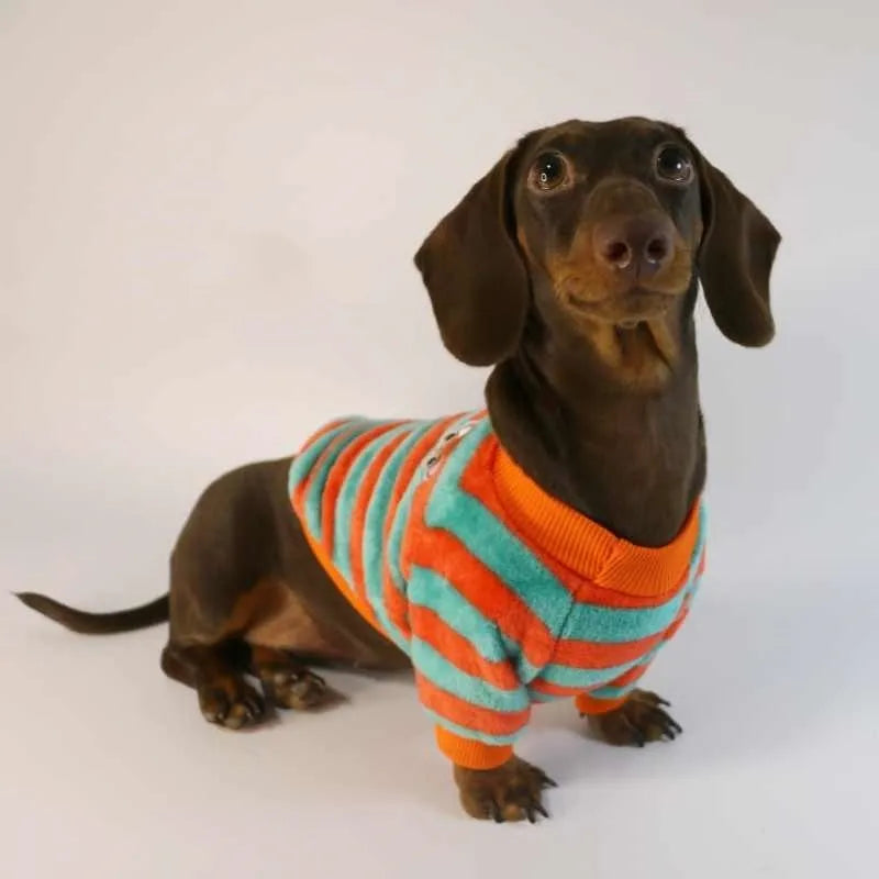 Striped casual pet sweatshirt with round neck in orange red and white colours
