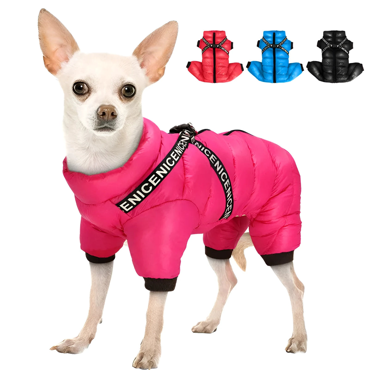 Polyester winter pet coat for fighting dogs in black with size chart on blue background