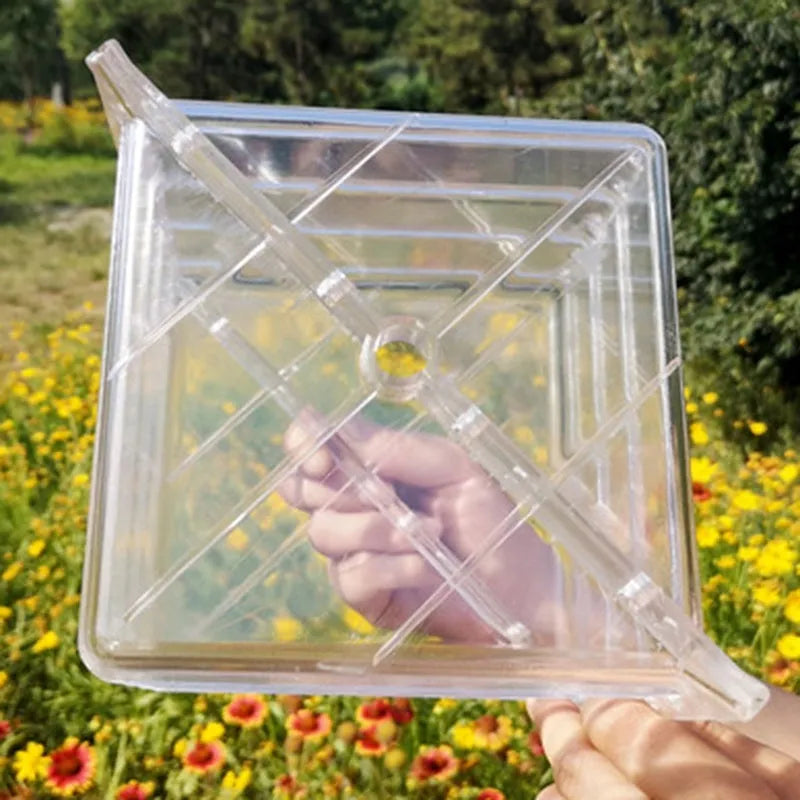 Square plastic watermelon growth mould measuring 13cm for fruit shaping