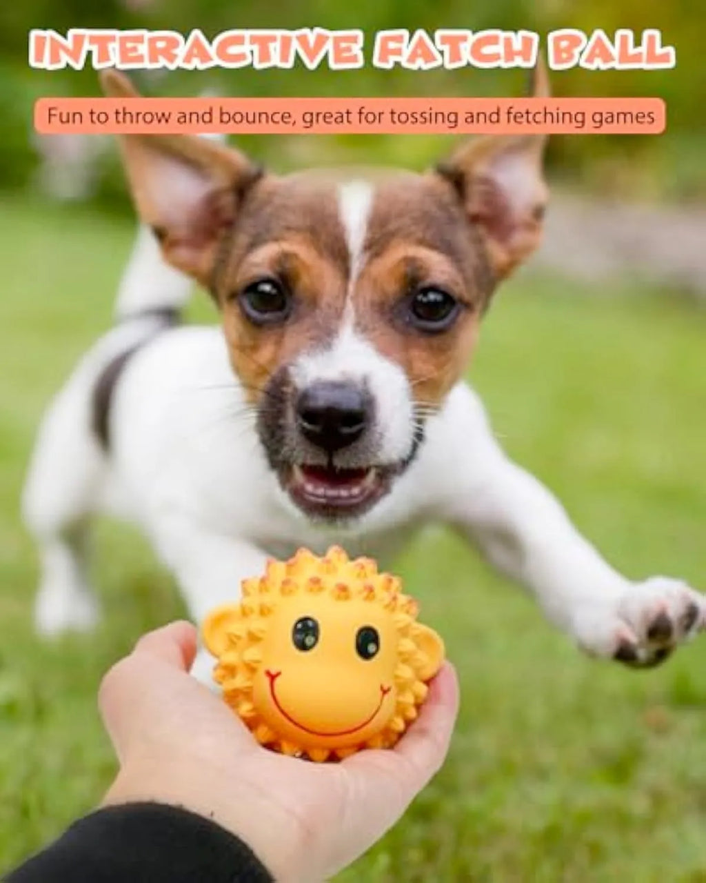 Orange and yellow latex dog toys with spiky texture and animal shapes for small to medium dogs