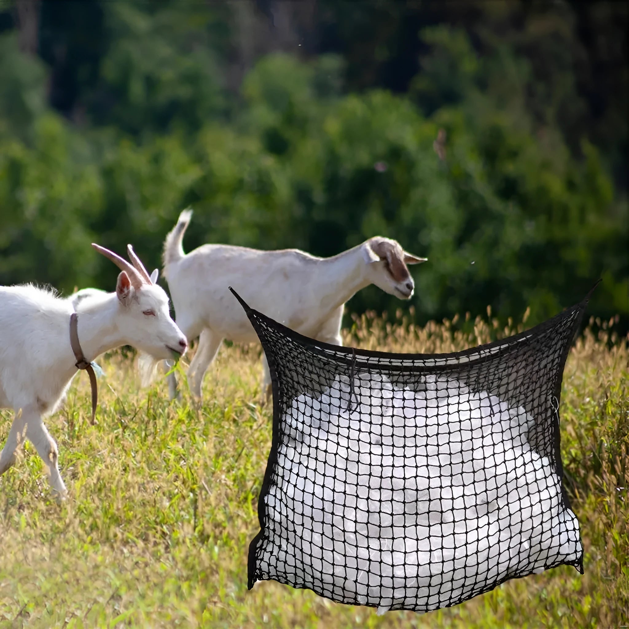 Black woven grid horse feeding bag hanging, showing its open structure and size.
