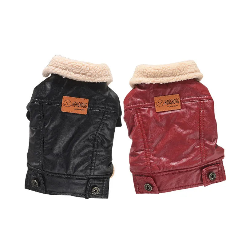Red two-legged PU leather dog coat with fleece lining on a small dog