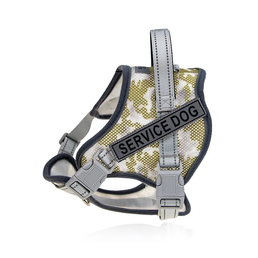 Reflective dog harness with neck protection in camouflage colour on a medium-sized dog