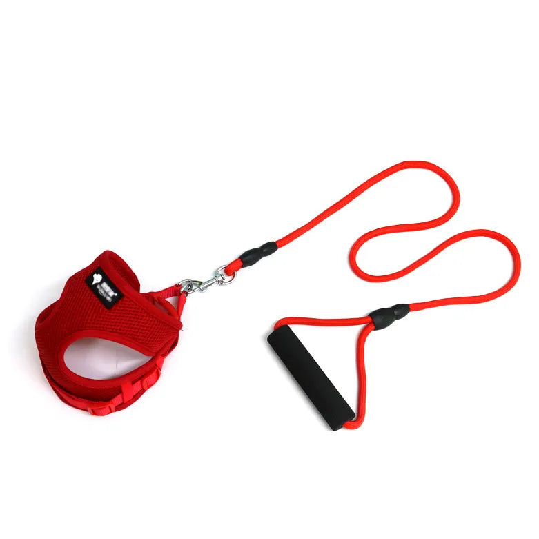 Blue dog leash and collar set with foam handle for small dogs.