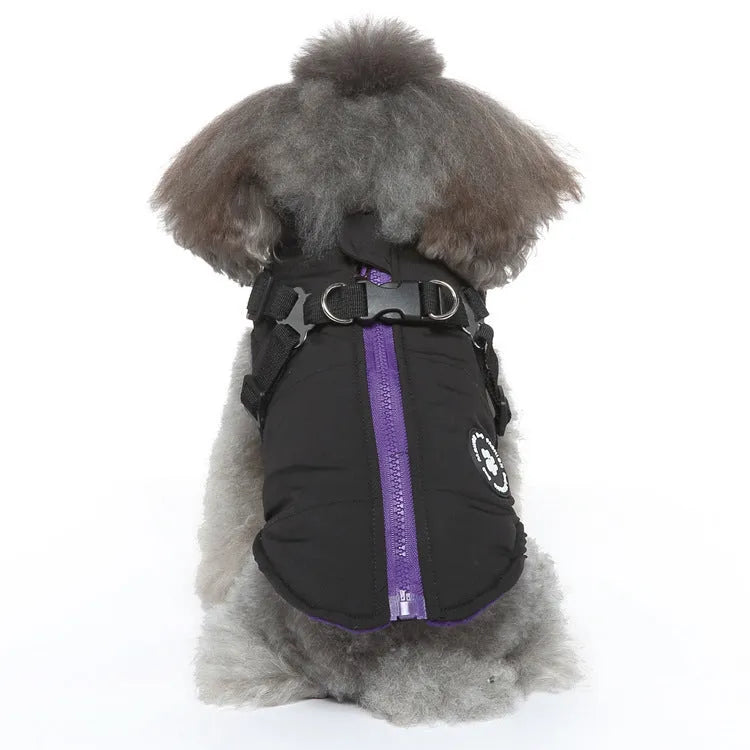 Adjustable chest strap dog winter coat in polyester with cotton-padded lining