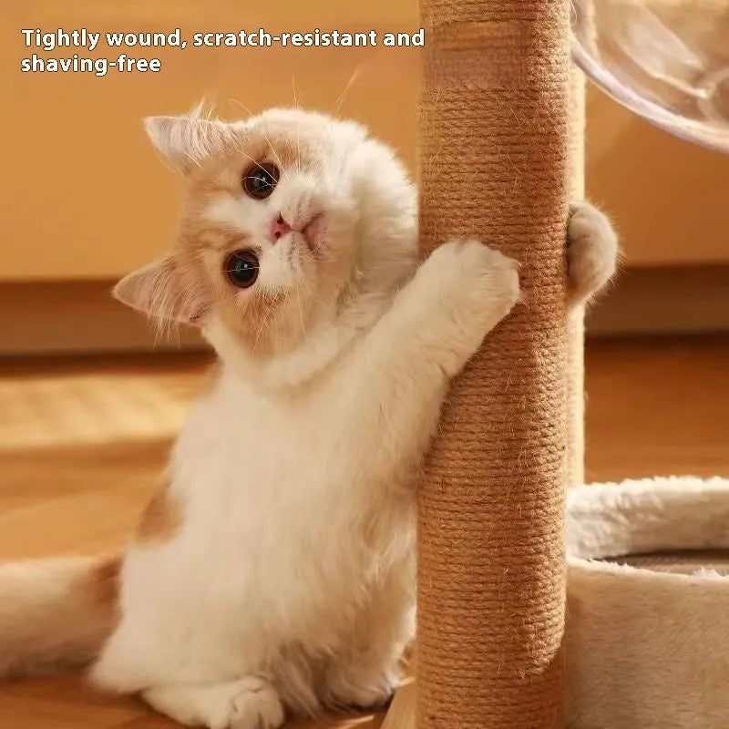 Wooden cat climbing frame with space capsule in luxury colour finish