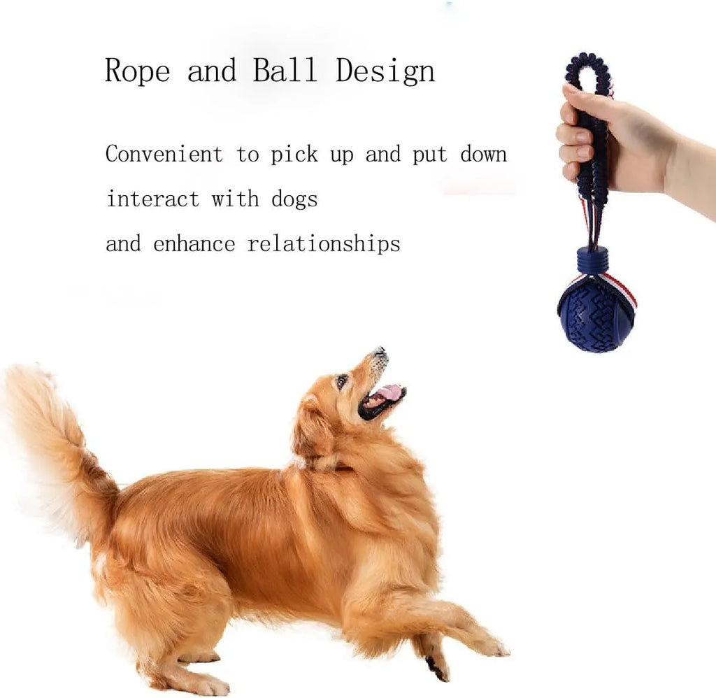 Blue dog toy showing a textured rubber ball attached to a woven rope, for small and medium breed dogs.